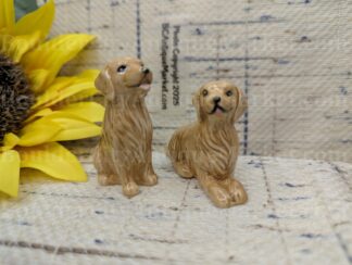 Golden Retrievers - Small Salt and Pepper Set