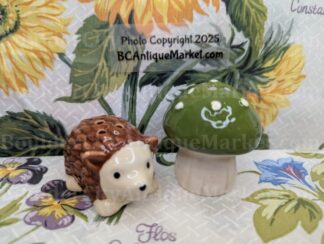 Hedgehog and Green Mushroom - Small Salt and Pepper Set