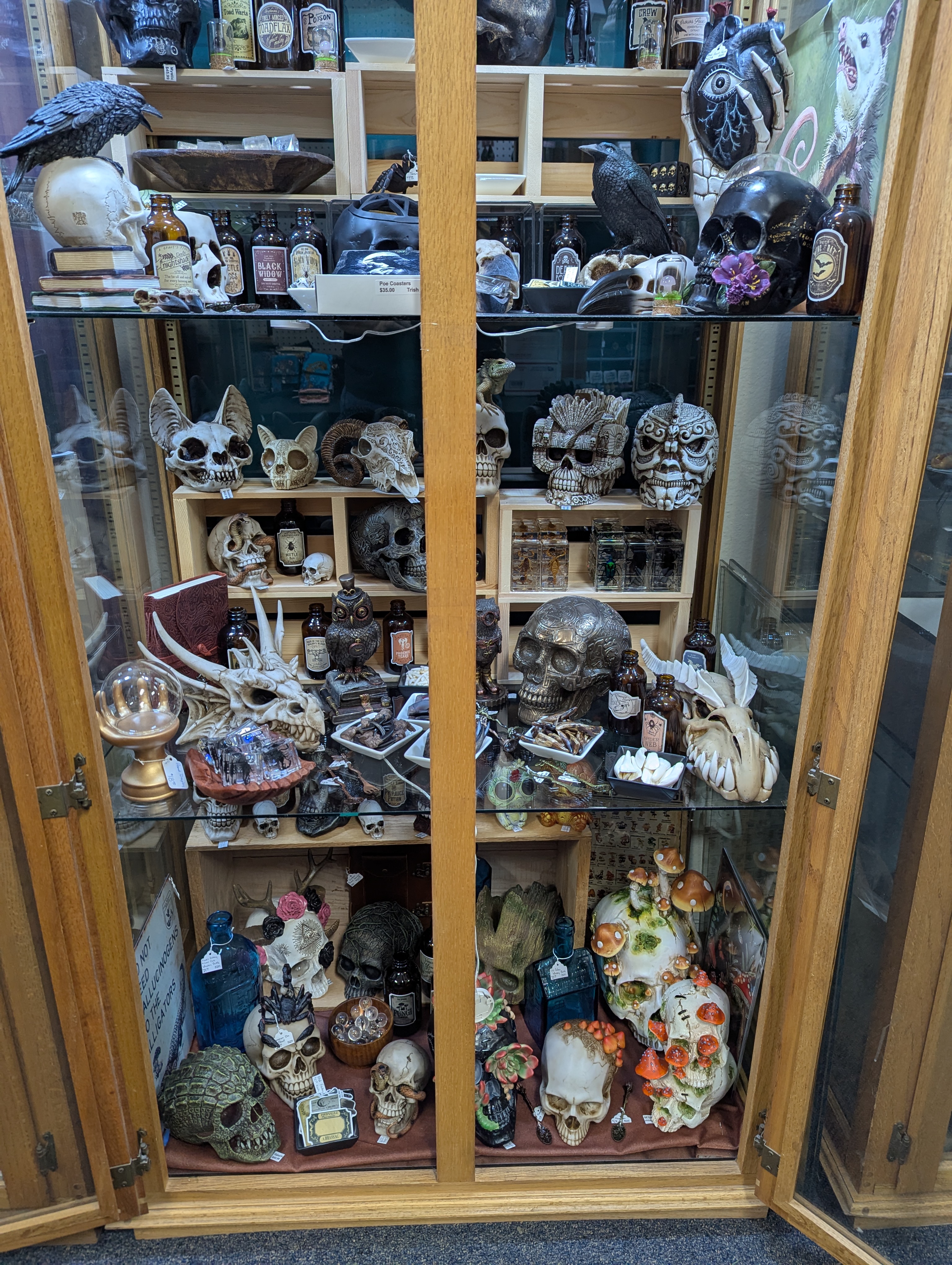 PXL_20250513_194739005