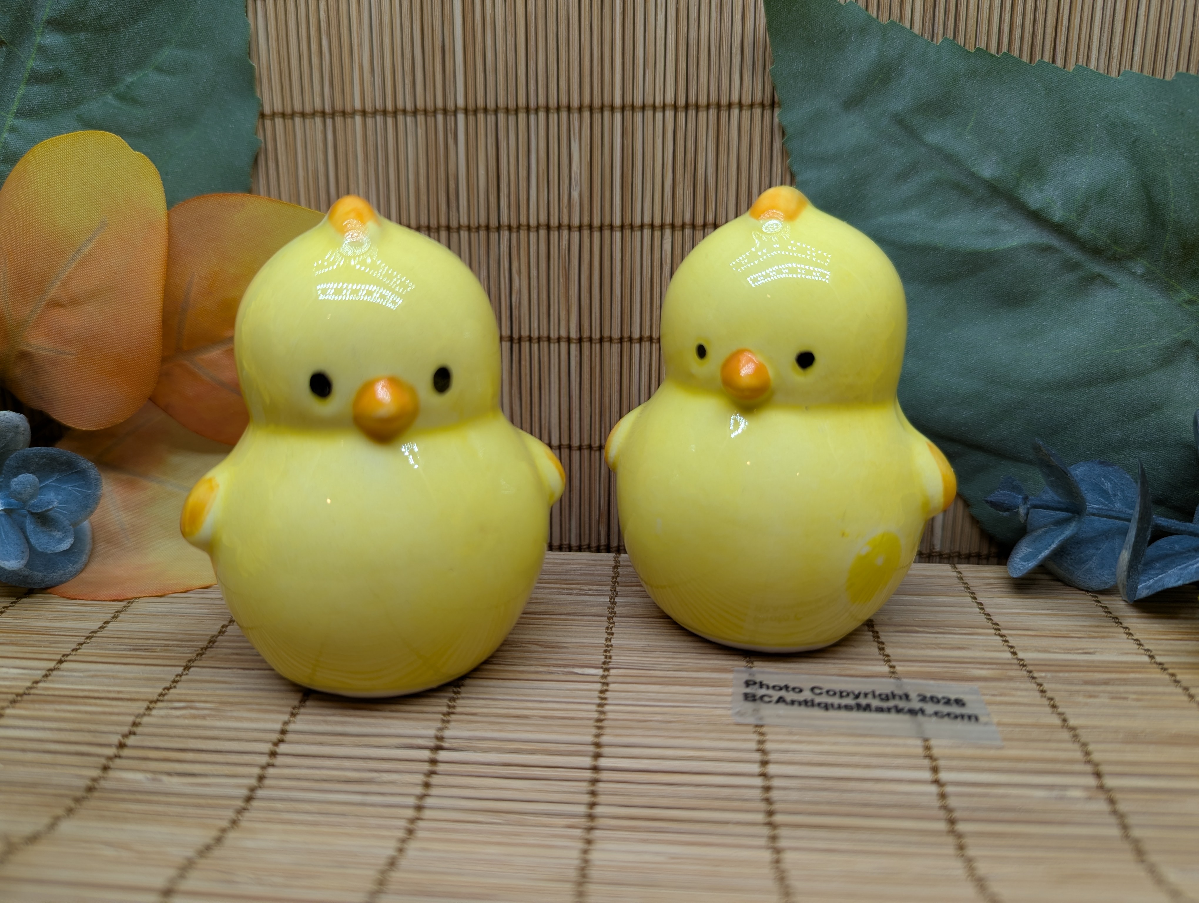 Yellow Chicks Salt and Pepper Set