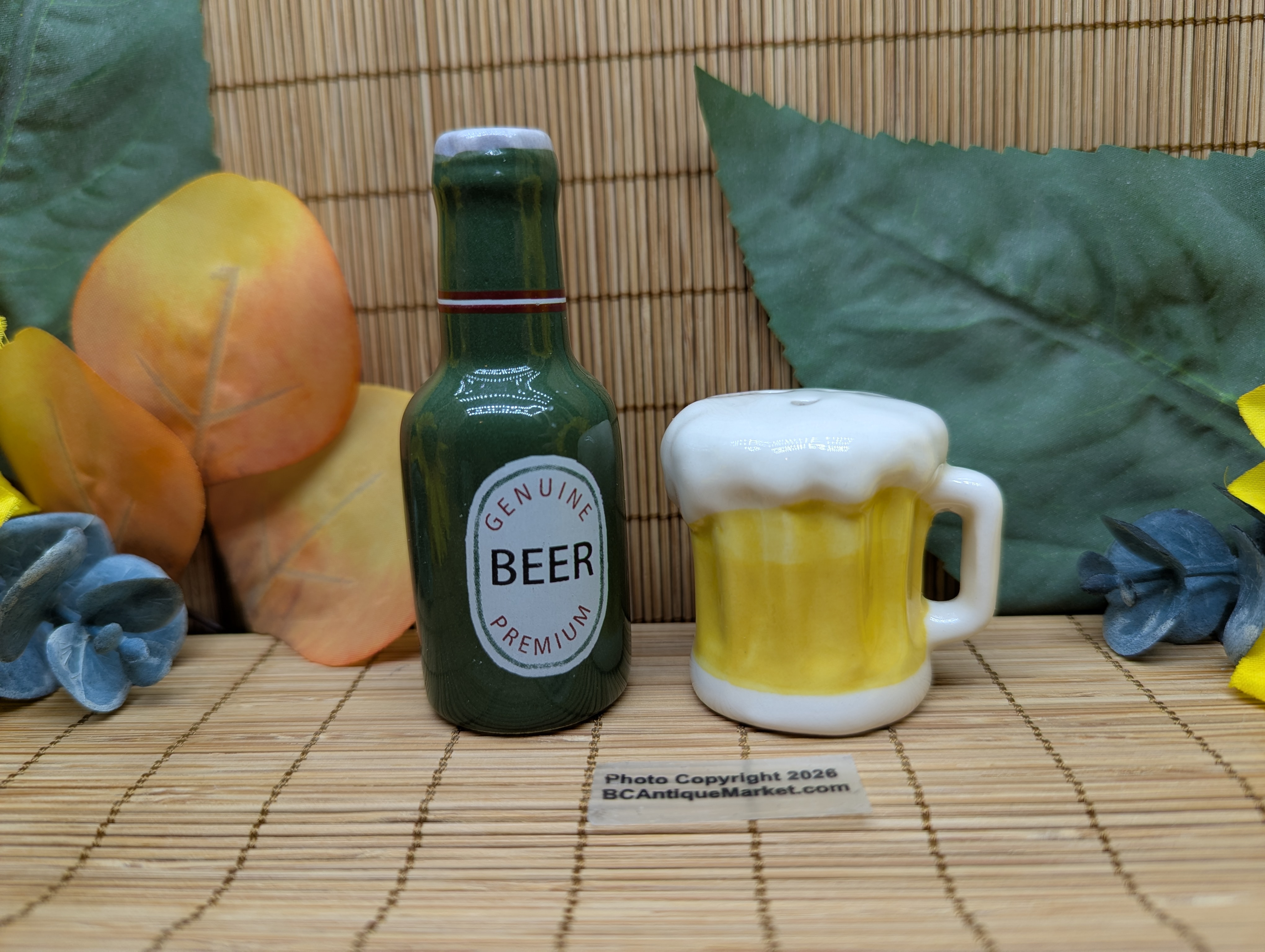 Beer Bottle and Mug Small Salt and Pepper Set