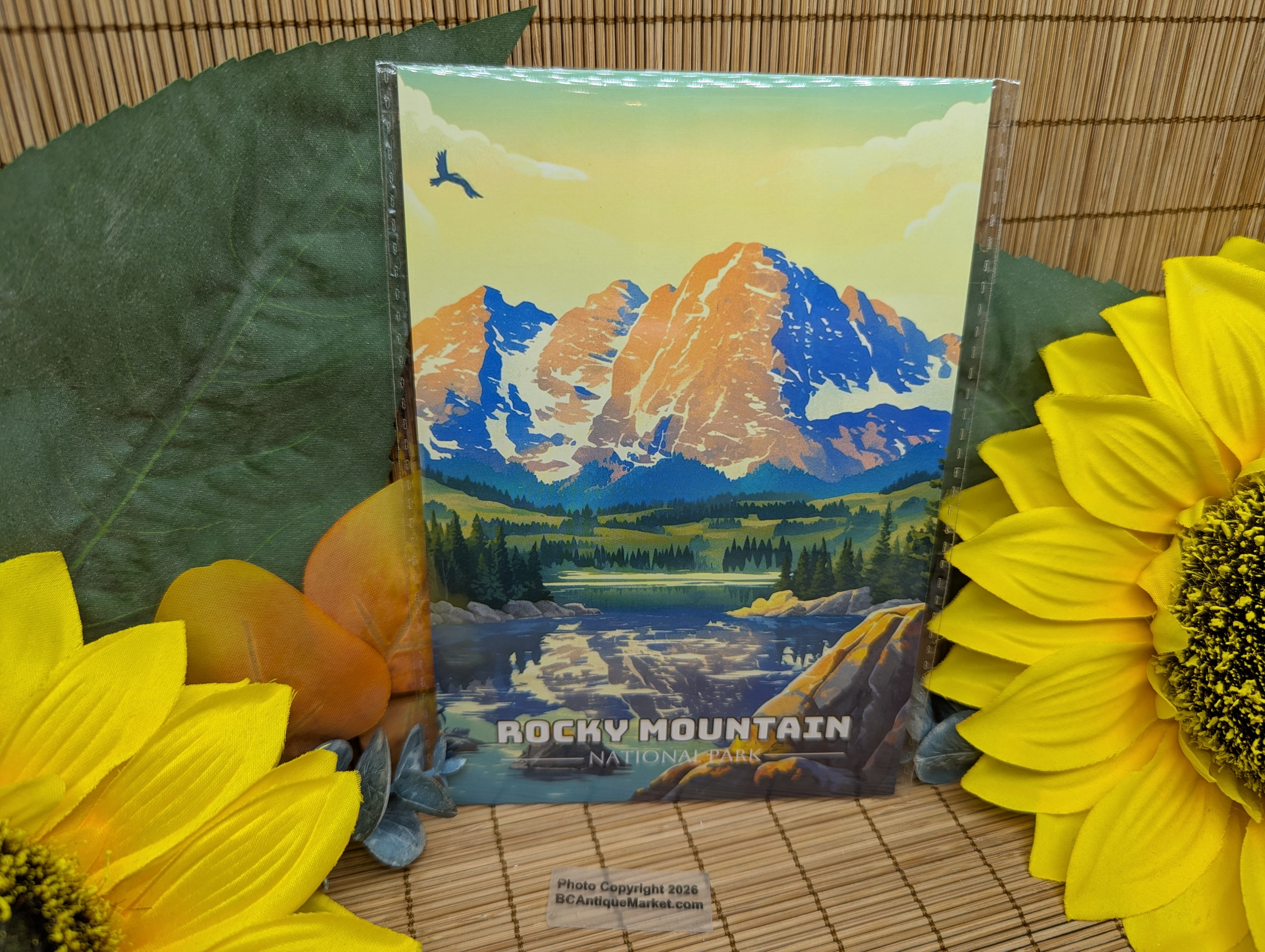 National Parks Postcards Set One, 63 Cards - Image 2