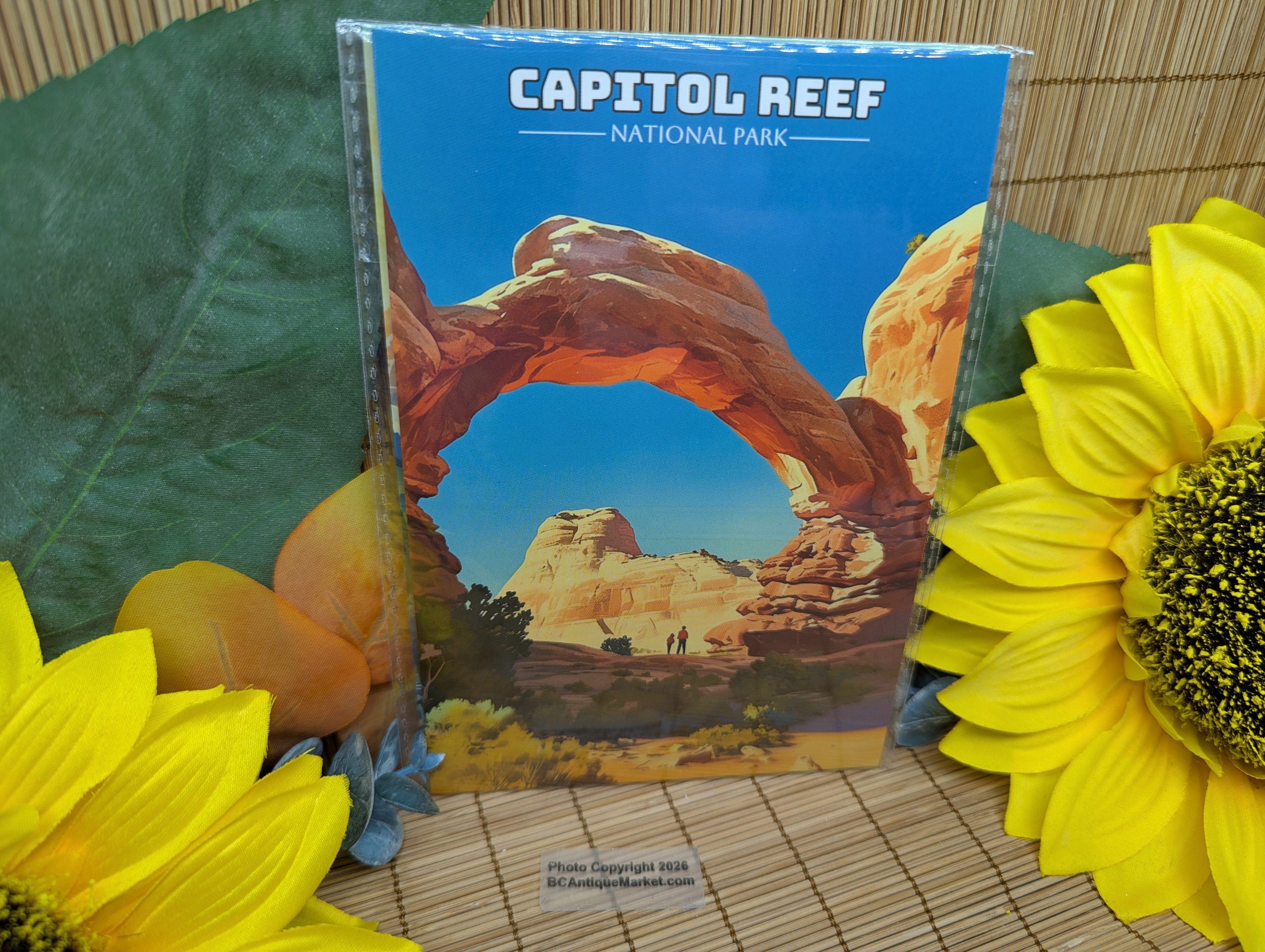 National Parks Postcards Set One, 63 Cards - Image 3