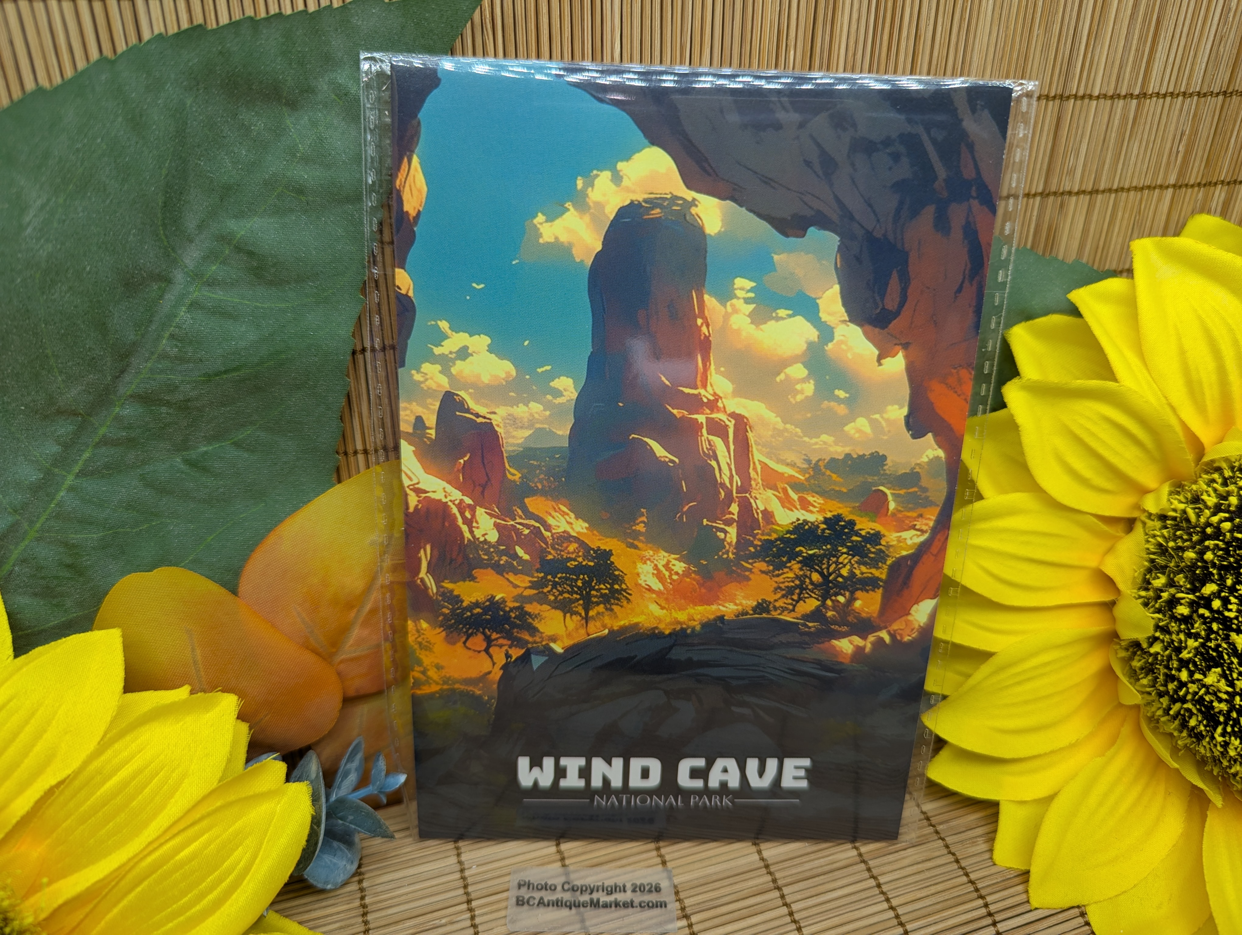 National Parks Postcards Set One, 63 Cards - Image 4