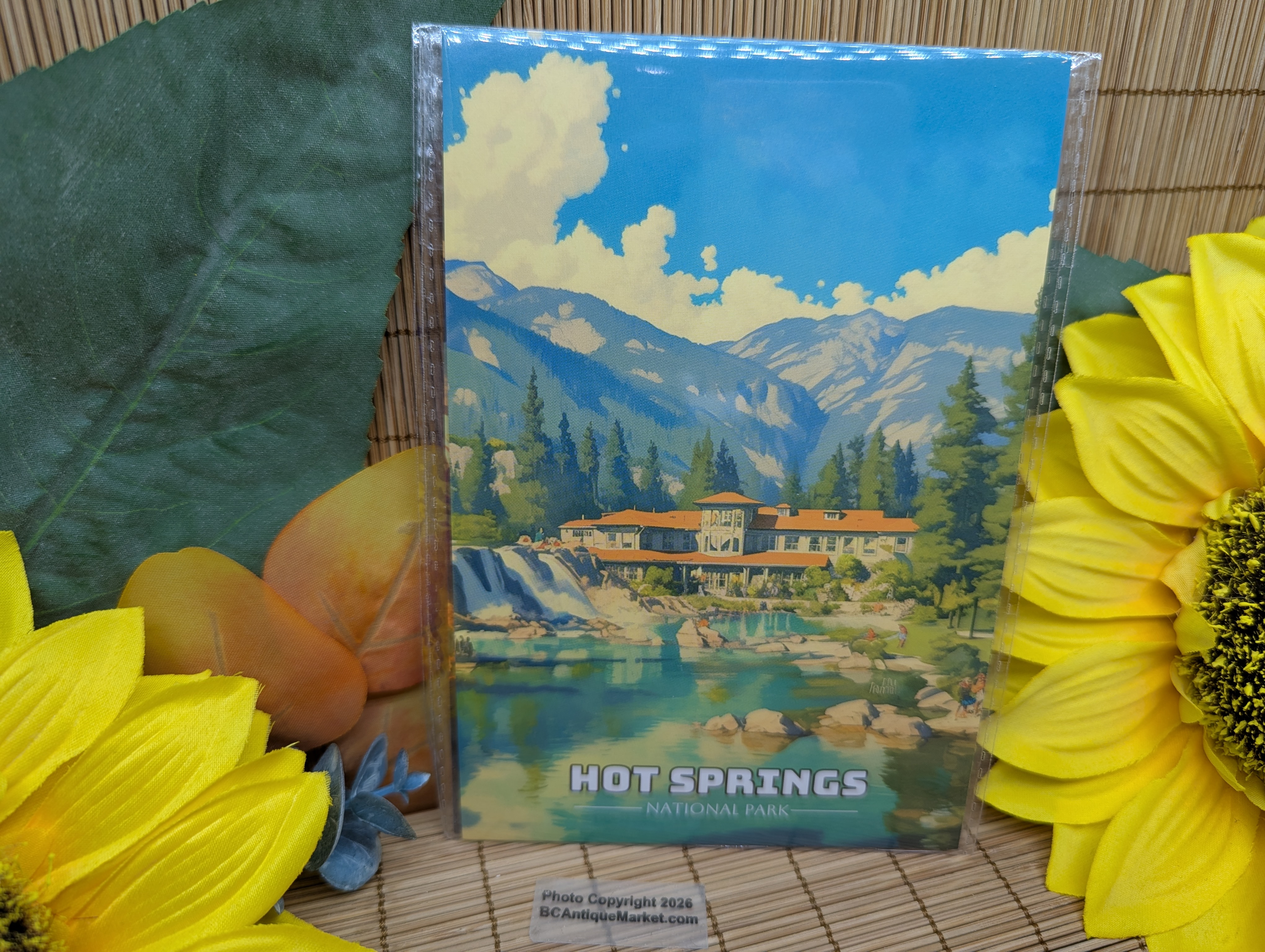 National Parks Postcards Set One, 63 Cards - Image 6