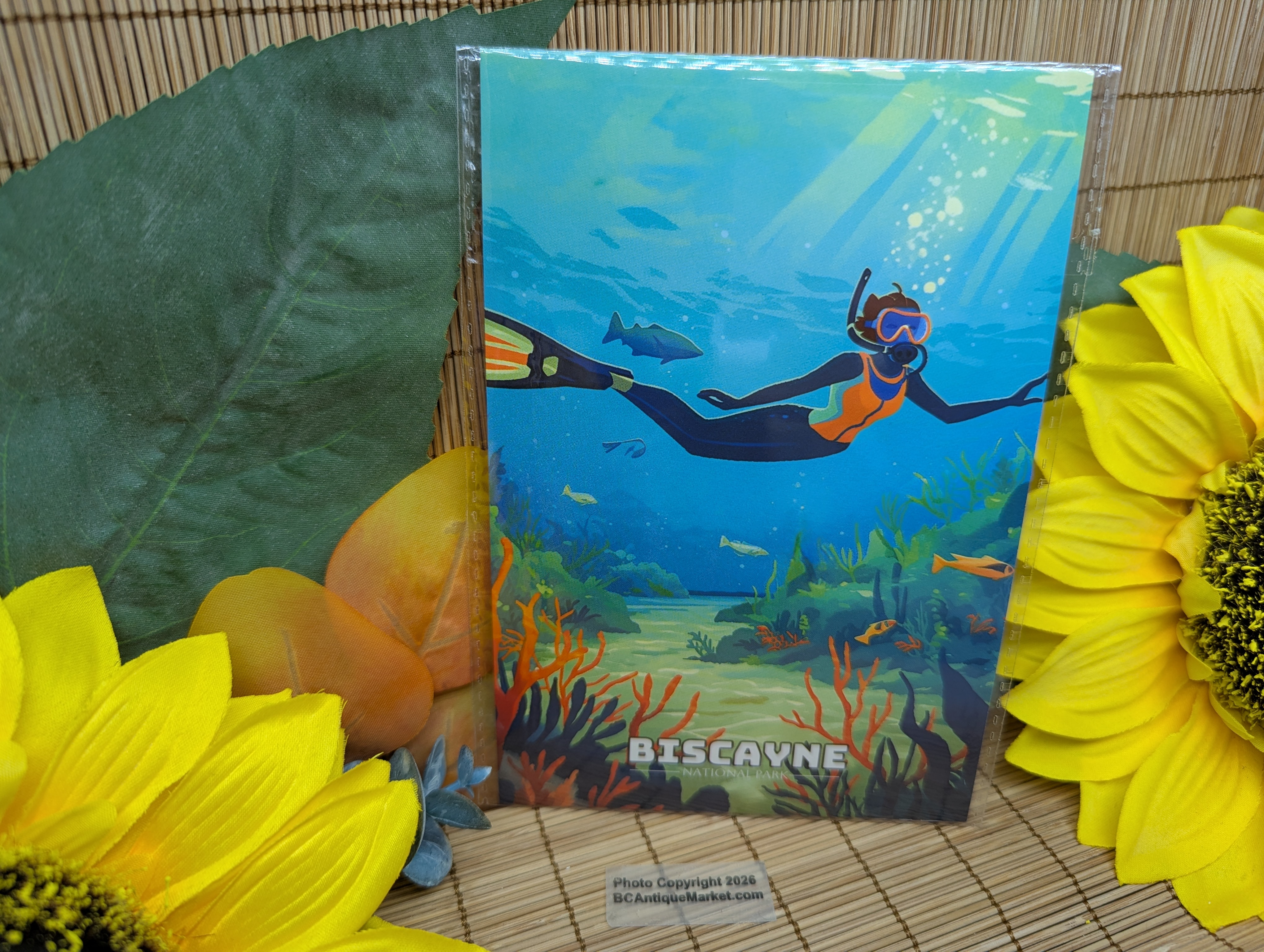 National Parks Postcards Set One, 63 Cards - Image 7