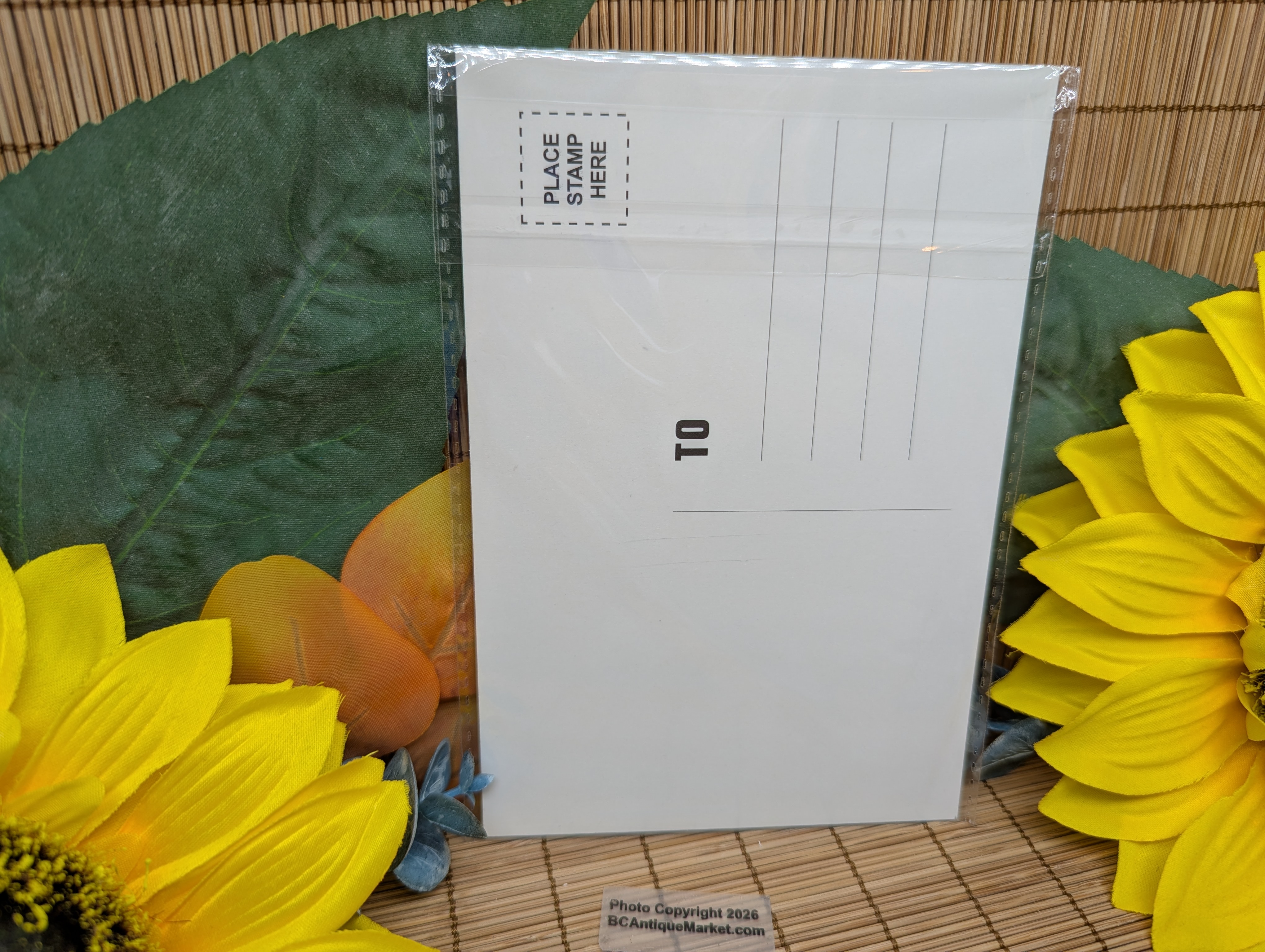 National Parks Postcards Set One, 63 Cards - Image 8