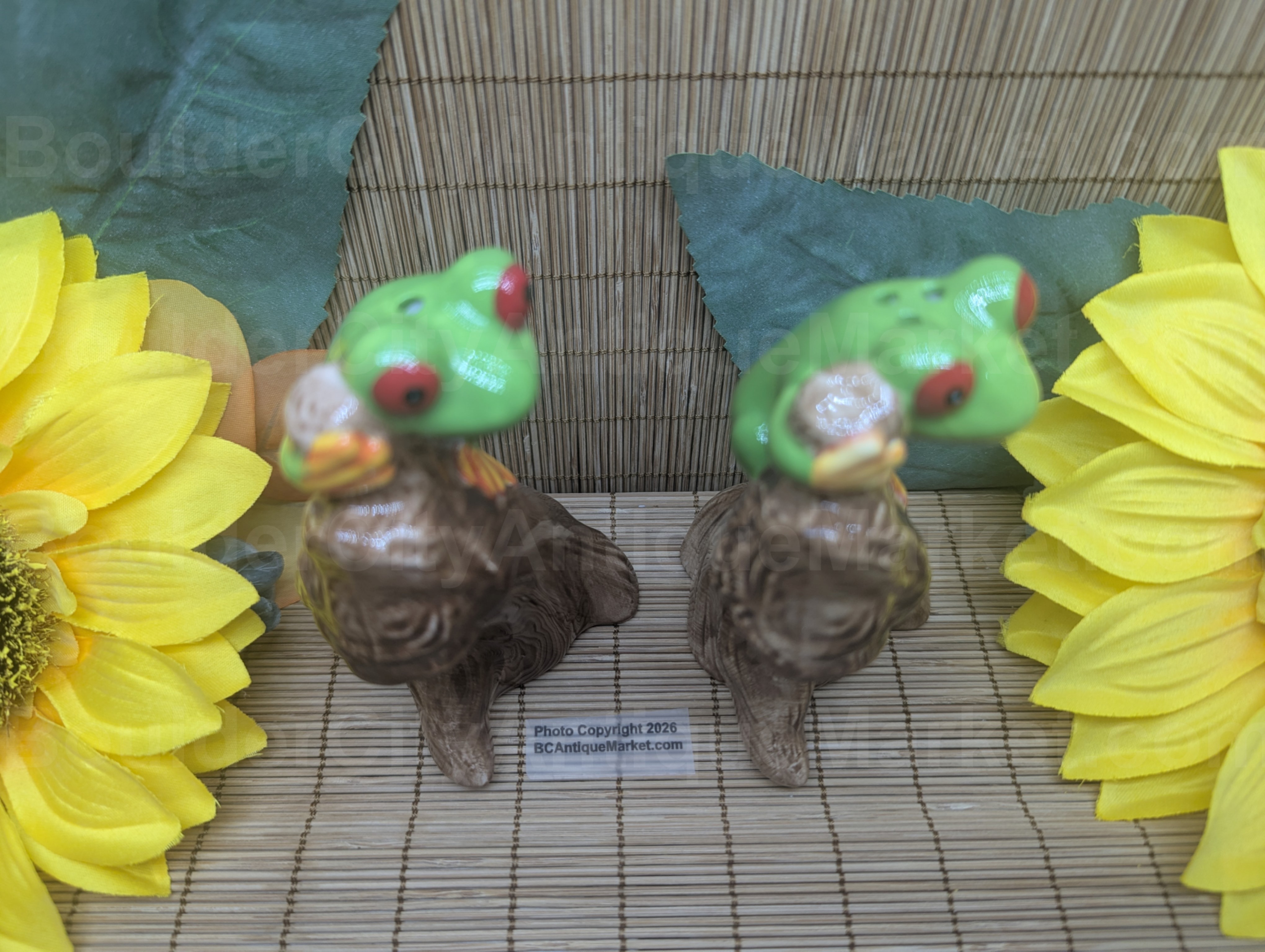 Tree frogs on branches, how cute are these new 4-inch-tall salt and pepper shakers?