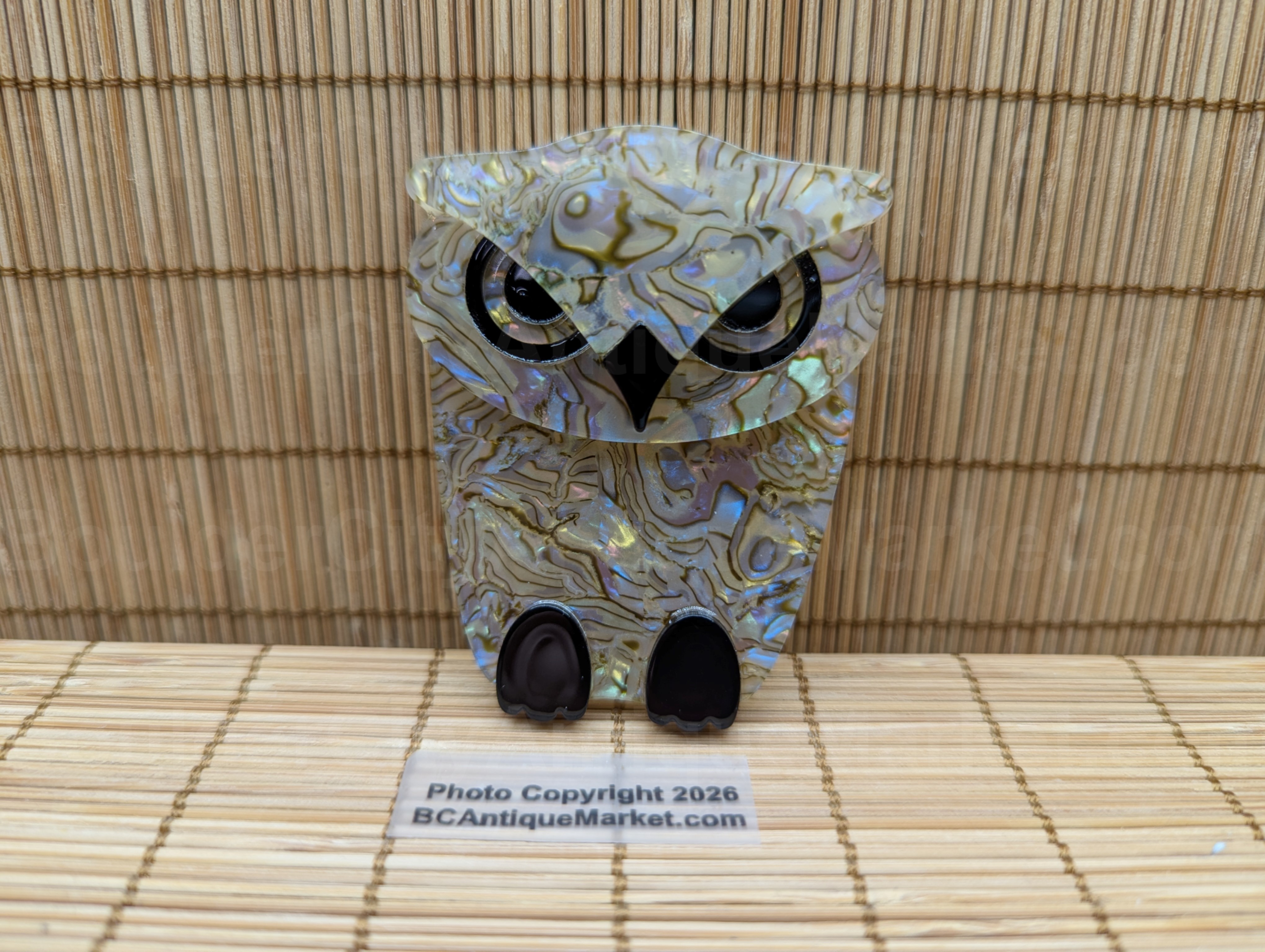 Acrylic Abalone Style Brooch 811