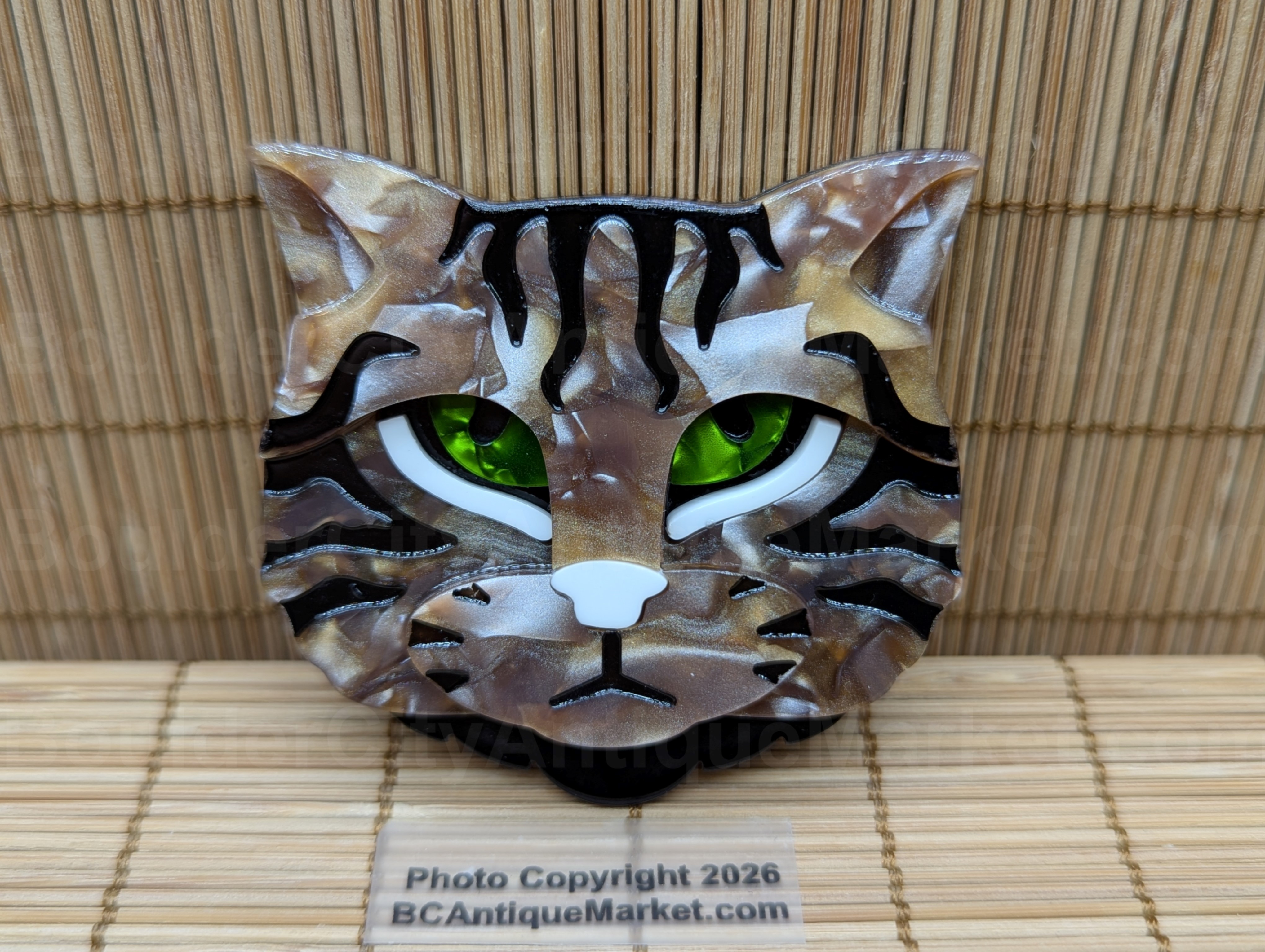Green Eyed Brown Tabby Cat Acrylic Brooch