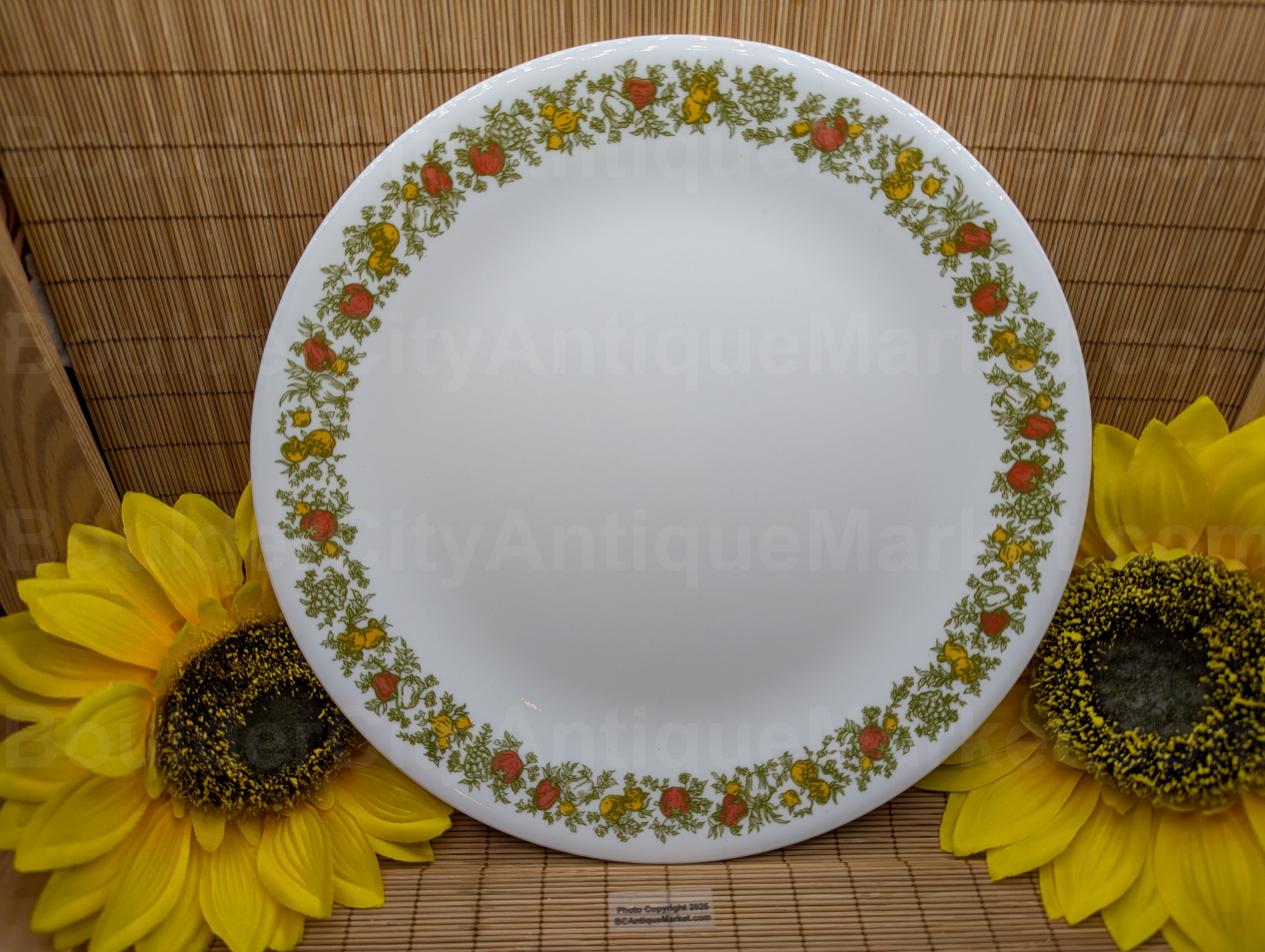 Spice Of Life Corelle 10 1/4-inch Dinner Plate